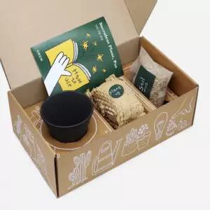 다육 키우기 세트 블랙 다육화분세트 다육미니화분 식물재배기 다육이기르기