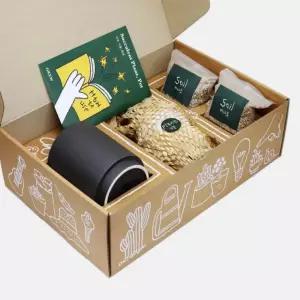 다육 키우기 세트 다육화분세트 다육미니화분 다육이화분 다육식물