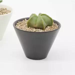 다육 키우기 세트 블랙 식물재배기 사무실다육이