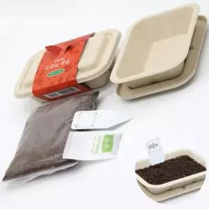 이름표 배양토 씨앗 화분 새싹 만들기 세트