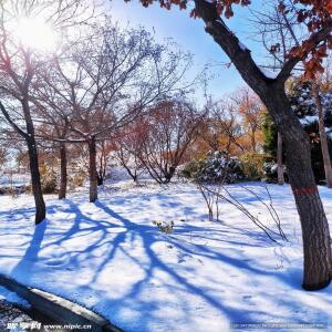 오리지널 T50 T40 T20P 10033 48KV 농업용 UAV 추진 시스템 및 유지보수 액세서리 드론 액세서리 판매