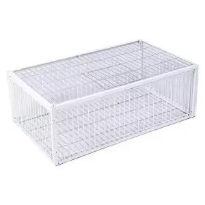 포획틀 비둘기 조류 트랩 덫 구조 새 망 철제 동물