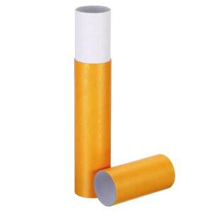 패티킬 2인치 x 13인치 포스터 튜브, 1Pcs 사진 보관 튜브 휴대용 배송 캘리그라피 페인팅 원형 케이스, 종이 아트 지도 문서 보관용 옐로우