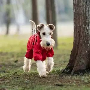 폭발적인 중소형견 네발 비옷 견인 강아지 방수 돌격복 애완동물 옷 야외 반사