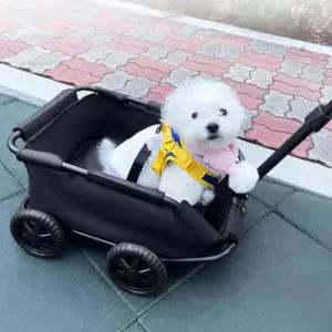 강아지 고양이 반려견 산책 미니 애견 유모차 개모차