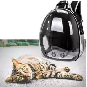 투명 고양이 이동장 가방 반려 동물 외출 백팩 캐리어 애완 강아지 고양이앞 강아지백팩