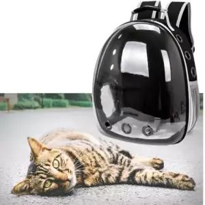 투명 고양이 이동장 가방 반려동물 외출 백팩 캐리어