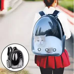 반려동물 투명 이동가방 고양이 강아지 캐리어 백팩