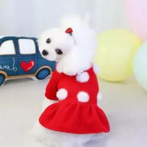 원피스 강아지 반려동물 옷 니트 스커트 강아지 소형견옷 티셔츠 점퍼