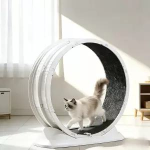 고양이 캣휠 무소음 런닝머신 운동기구 캣타워 다이어트 놀이용