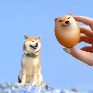 시바견 계란 시바견계란 피규어 달걀 찾기 킹받는 신박한 시바이누 장식