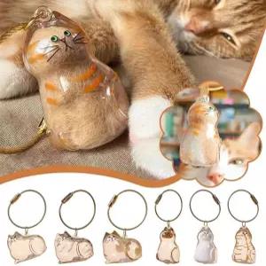 고양이 털 추모 참 레진 기념품 캡슐 애완동물 휴대용 열쇠고리 펜던트 무지개 다리