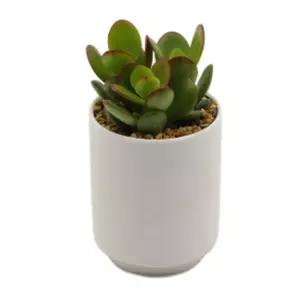 다육이 도자기화분 배양토 마사토 세트 plp7+6TYB