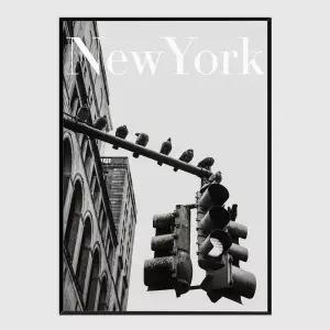 [콩심팥심]모던 슬림액자 NYC Doves A3사이즈