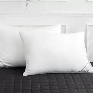 2개세트 리빙홈 프리미엄 마이크로화이바 일반형 40x60 베개솜 항균솜