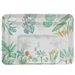 그리너리 스퀘어쟁반 중형 모던한 트레