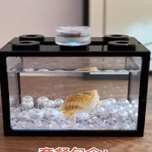 미니 어항 물고기 베타 열대어 마리모 관상어 소형 수조 반려 키우기(1) 해파리 식물