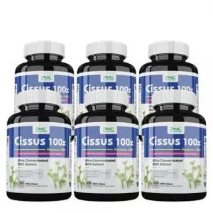 PNC 시서스 추출물 농축 1200mg 120캡슐 6병