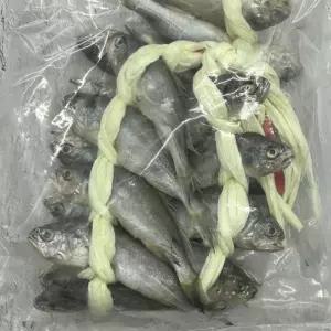 국내산 참조기 굴비 40미 조기 굴비 생선 반건조 참조기