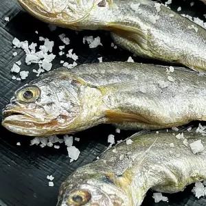 국내산 반건조 냉동 참조기 20미 반건조조기 국내산조기 냉동조기 반건조참조기