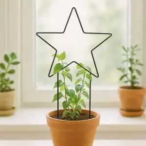 오각별 식물 지지대 플랜테리어 넝쿨 줄기 지주대 철제지지대