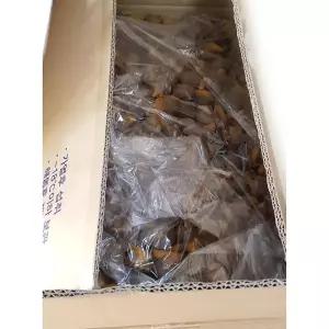 서해수산 골뱅이 10KG 건골뱅이 골뱅이소면 골뱅이무침 건어물 맥주안주