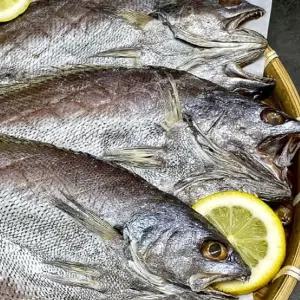 반건조 민어 특대 5미 반건조민어 수입반건조민어 냉동반건조민어 반건조생선