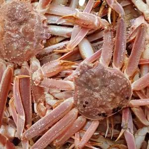 수율좋은 러시아 자숙 대게 4KG 수입자숙대게 러시아자숙대게 수입산대게찜