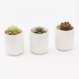 도자기 화분 다육이 반려식물 세라믹 용기