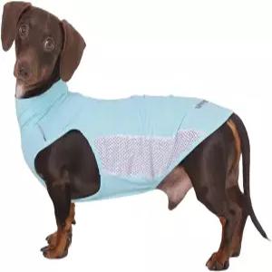 닥스훈트 반려견 쿨링 조끼 통기성 여름 및 퀵 드라이 셔츠 미니 경량 의류 소형견블루 XS47파운드