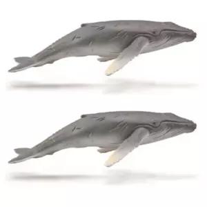 컬렉타 아기 혹등고래 피규어 완구 전시 교구 X2개