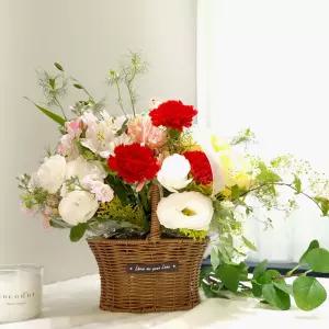 감사와 존경 카네이션 바구니MTFA161