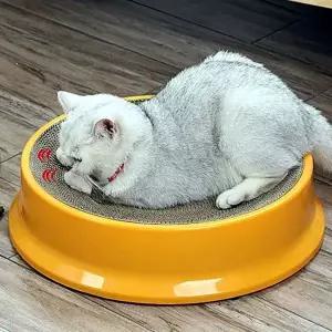 스크래쳐 반려묘용품 해소용 골판지집 반려묘 애완용