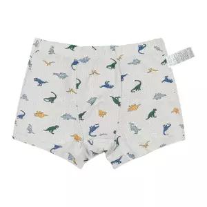 바풀 PPIPPILONG 아동팬티 에어메쉬 유아 아동 드로즈 사각팬티 PL SS69-109