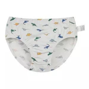 바풀 PPIPPILONG 아동팬티 에어메쉬 유아 아동 삼각 팬티 PL SS69-121