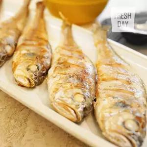 [프레시데이] 영광 법성포 굴비 가정용 실속세트 80미