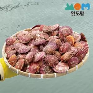 완도맘 국내산 활 홍가리비 2kg