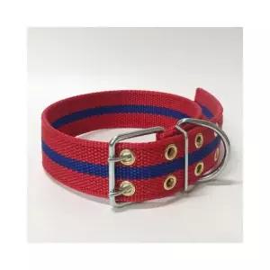 루미나D 강아지목줄 왕대 나일론 걸이 개줄 애견줄