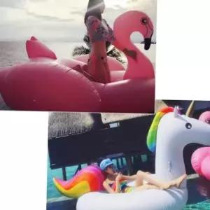 학생용품 샤인빈 사계절 물놀이 초대형튜브 유니콘/플라밍고