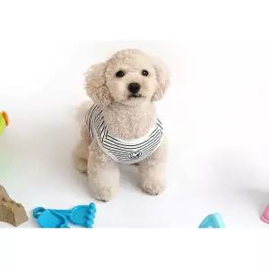 검정 티셔츠 애완견 명품 스피츠옷 예쁜강아지옷 강아 반려견여름옷 진돗개옷 리트리버옷 애견 스트라이프