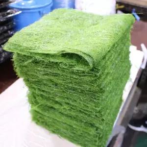 국내산 서해안 생 마른 감태 구운감태