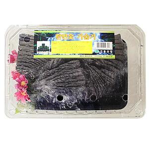 가습기 공기 숯 자연 인테리어 미니 편백 정화 요리