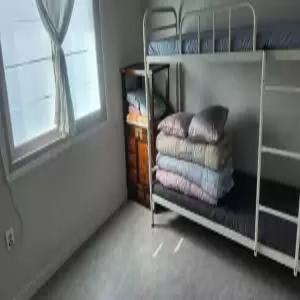 [경북] 경주 브이 게스트하우스(경북숙소/경주숙소)