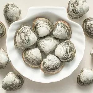 [오늘의바다] 동죽 1kg