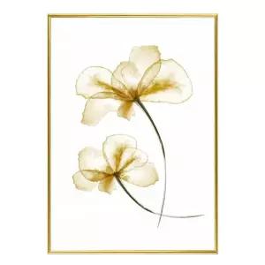 [콩심팥심]림액자 Pressed Flowers A3사이즈