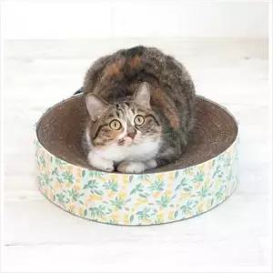 [반려] 플로랄 패리스독 원형스크래쳐