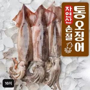 자연산 손질 통오징어 16마리(260g(2마리)X8팩)