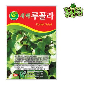 새싹루꼴라씨앗 15g 새싹씨앗 루꼴라싹 로켓샐러드 종자