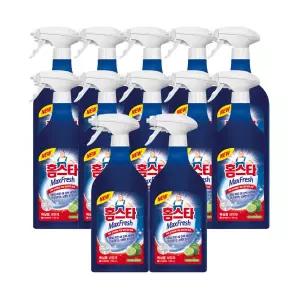 홈스타 욕실용 세정제 750ml 12개