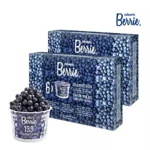 로버츠베리에 야생 빌베리 과채주스 2박스(100ml x 12팩)